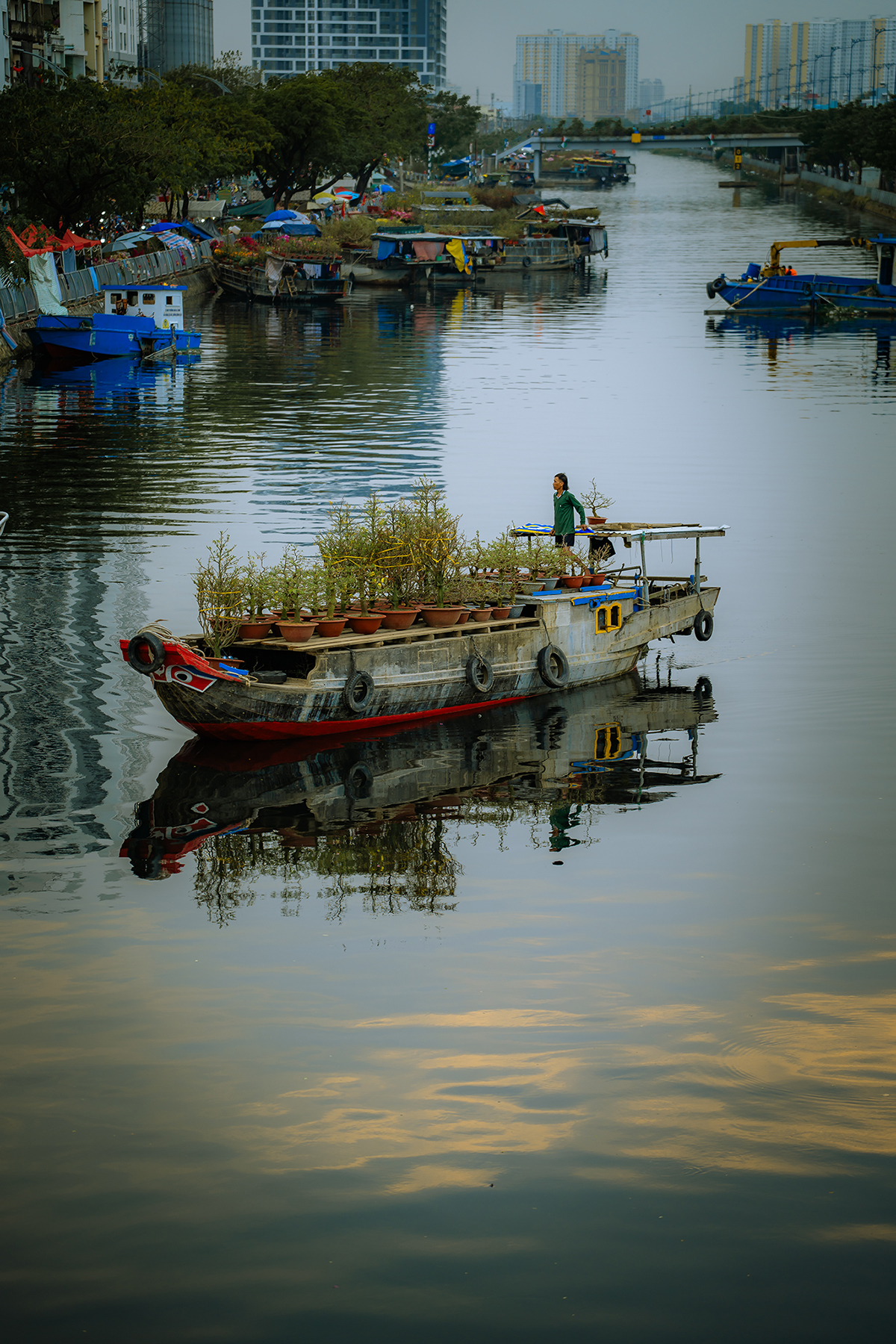 Chở Xuân về phố thị - Tác phẩm đạt top 50 trong cuộc thi Vietnam Snap by Sony
